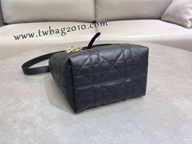 Dior专柜2025新款迪奥高仿原单Toujours竖版手袋牛皮休闲手提女包 djfk1297